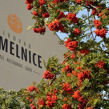 Chmelnice