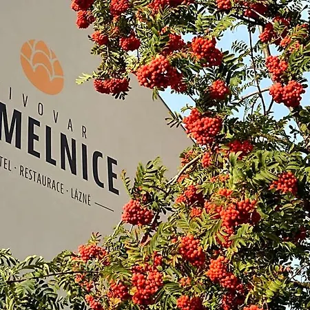 Chmelnice Hotel Napajedla