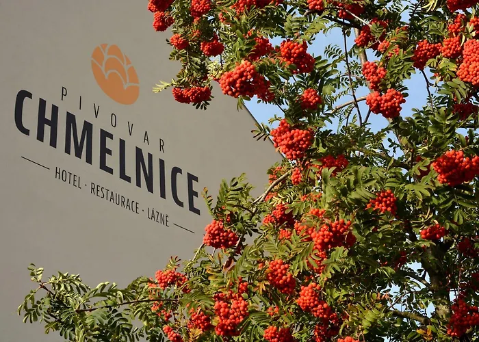 Chmelnice